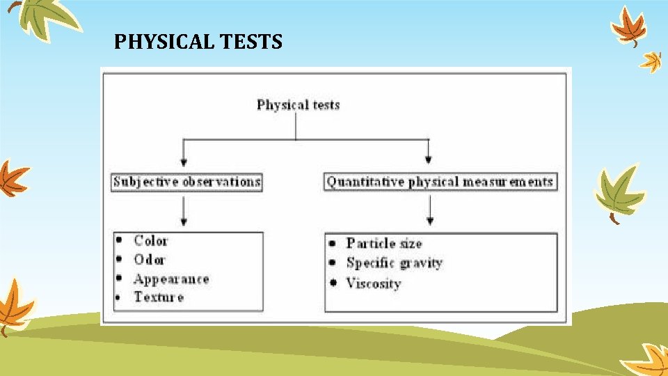 PHYSICAL TESTS 