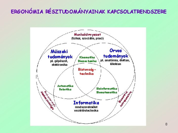 ERGONÓMIA RÉSZTUDOMÁNYAINAK KAPCSOLATRENDSZERE Munkakörnyezet (fizikai, szociális, piaci) Műszaki tudományok pl. gépészet, elektronika Kinematika Biomechanika