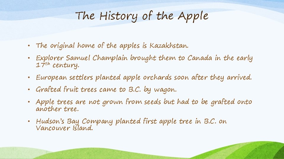 The History of the Apple • The original home of the apples is Kazakhstan.