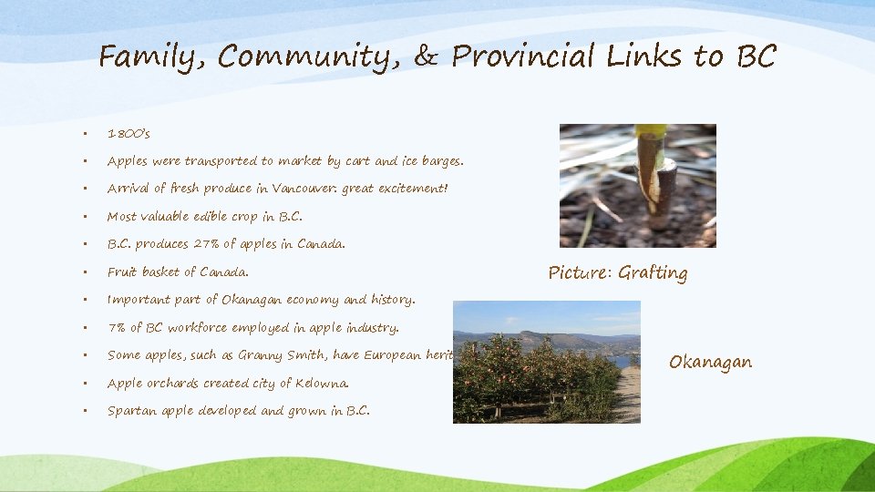 Family, Community, & Provincial Links to BC • 1800’s • Apples were transported to