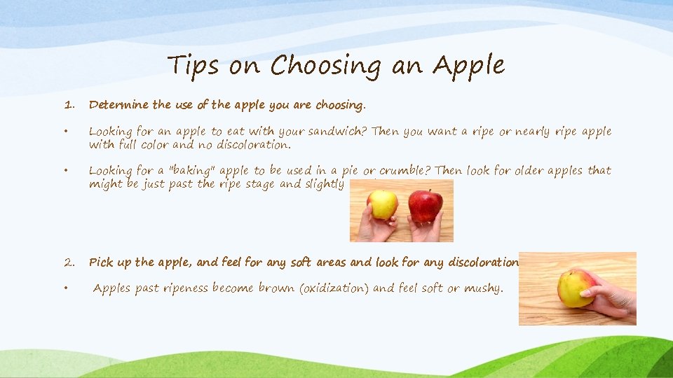 Tips on Choosing an Apple 1. Determine the use of the apple you are