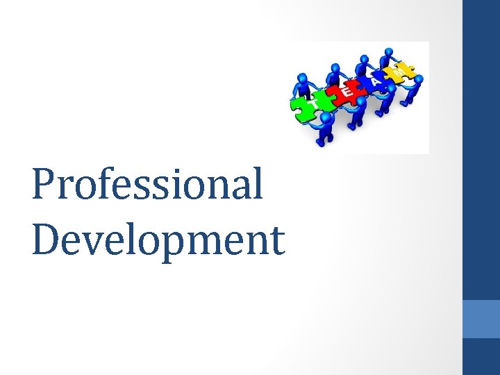 Professional Development 