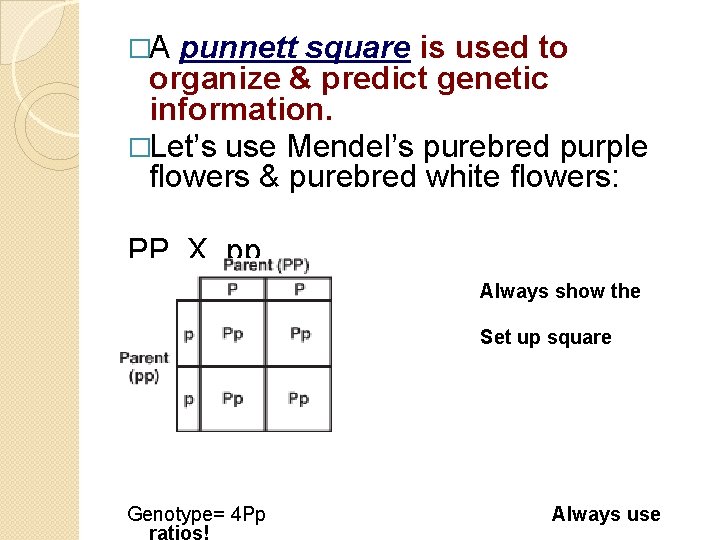 �A punnett square is used to organize & predict genetic information. �Let’s use Mendel’s