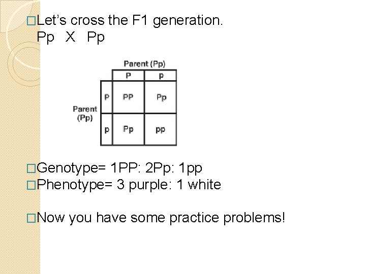 �Let’s cross the F 1 generation. Pp X Pp �Genotype= 1 PP: 2 Pp:
