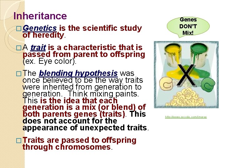 Inheritance � Genetics is the scientific study of heredity. trait is a characteristic that