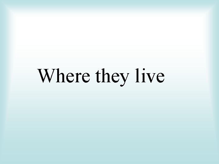 Where they live 