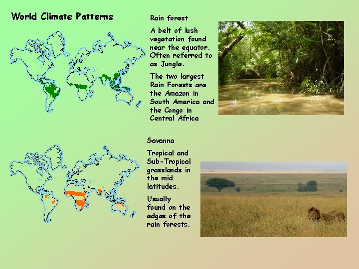 World Climate Patterns Rain forest A belt of lush vegetation found near the equator.