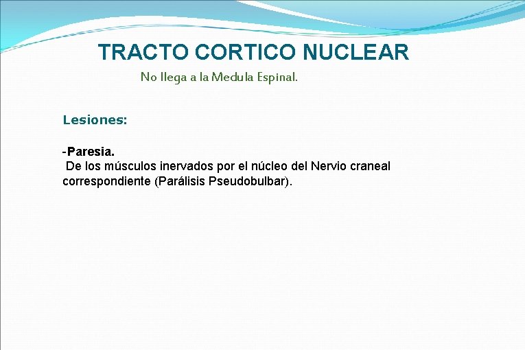 TRACTO CORTICO NUCLEAR No llega a la Medula Espinal. Lesiones: -Paresia. De los músculos