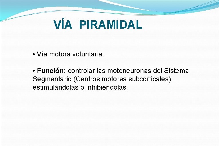VÍA PIRAMIDAL • Vía motora voluntaria. • Función: controlar las motoneuronas del Sistema Segmentario