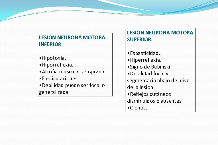 LESIÓN NEURONA MOTORA INFERIOR: • Hipotonía. • Hiporreflexia. • Atrofia muscular temprana • Fasciculaciones.