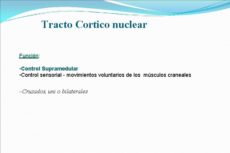 Tracto Cortico nuclear Función: • Control Supramedular • Control sensorial - movimientos voluntarios de