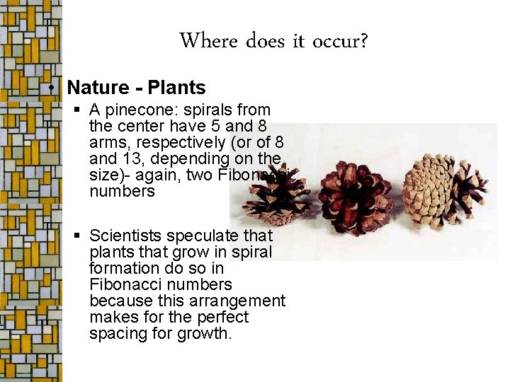 Where does it occur? • Nature - Plants § A pinecone: spirals from the