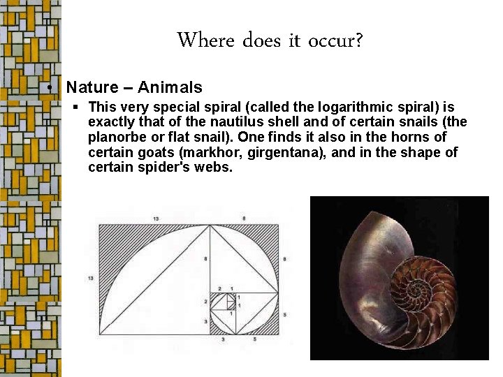 Where does it occur? • Nature – Animals § This very special spiral (called