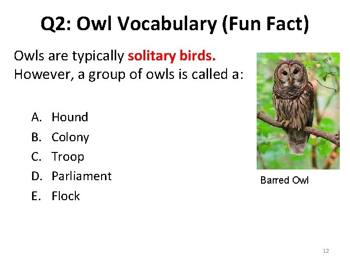 Q 2: Owl Vocabulary (Fun Fact) Owls are typically solitary birds. However, a group