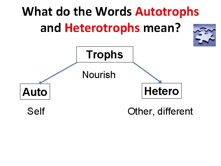 What do the Words Autotrophs and Heterotrophs mean? Trophs Nourish Auto Hetero Self Other,