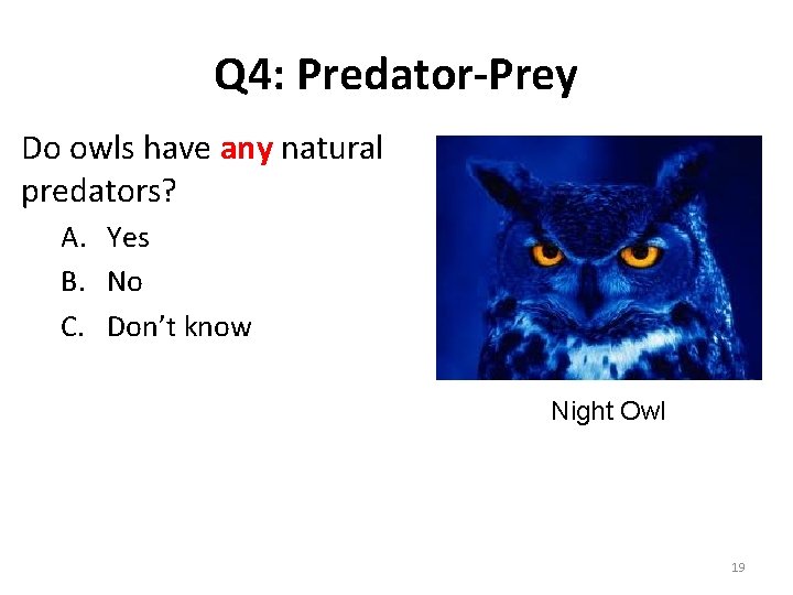 Q 4: Predator-Prey Do owls have any natural predators? A. Yes B. No C.