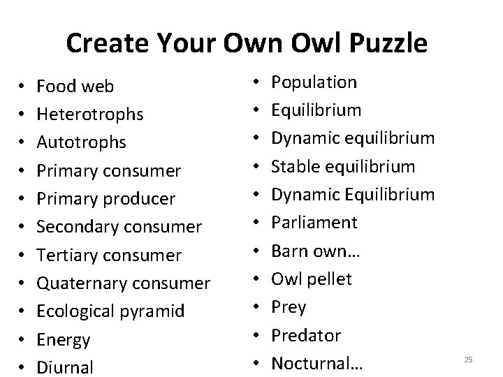 Create Your Own Owl Puzzle • • • Food web Heterotrophs Autotrophs Primary consumer