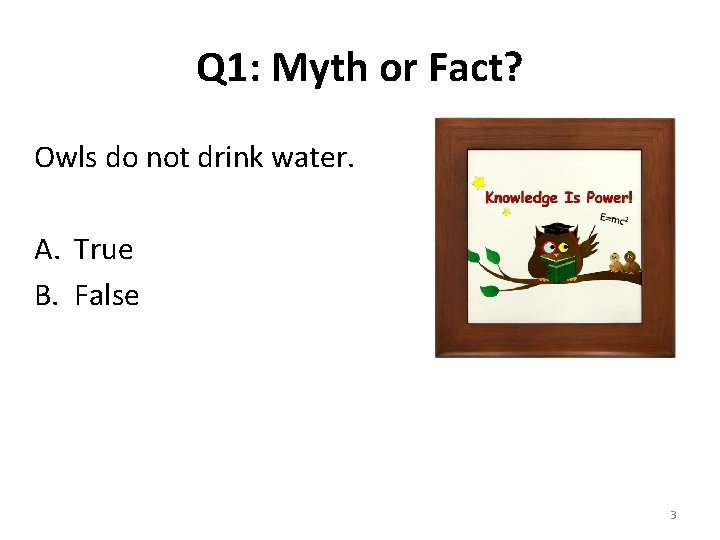 Q 1: Myth or Fact? Owls do not drink water. A. True B. False