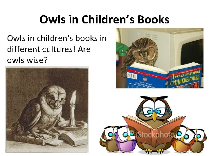 Owls in Children’s Books Owls in children's books in different cultures! Are owls wise?