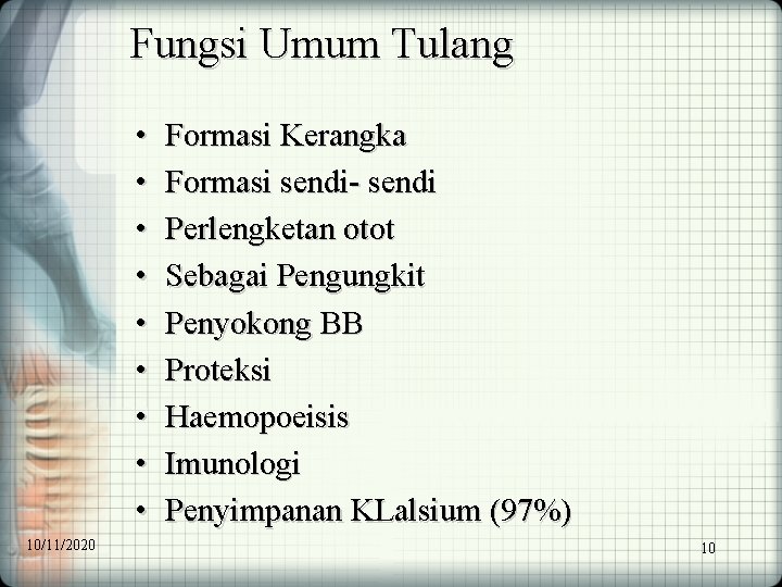 Fungsi Umum Tulang • • • 10/11/2020 Formasi Kerangka Formasi sendi- sendi Perlengketan otot