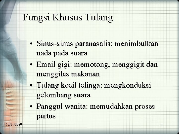 Fungsi Khusus Tulang • Sinus-sinus paranasalis: menimbulkan nada pada suara • Email gigi: memotong,