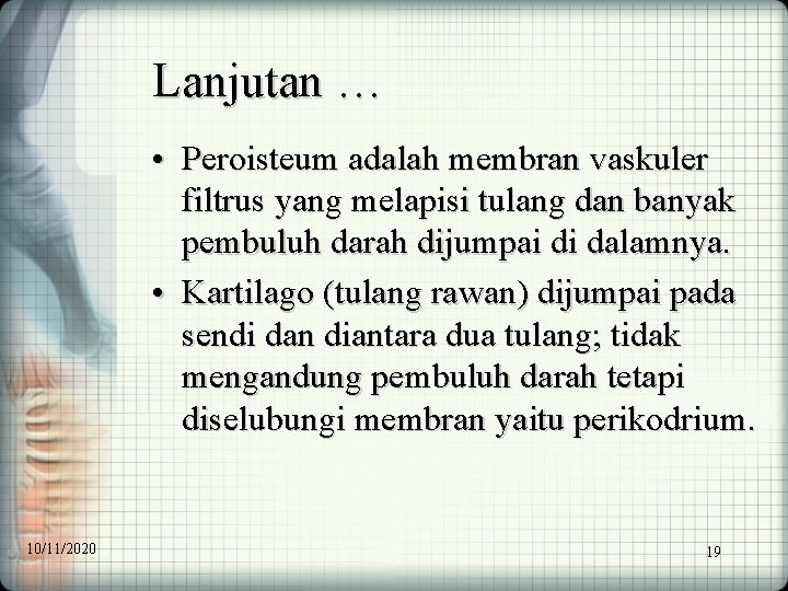 Lanjutan … • Peroisteum adalah membran vaskuler filtrus yang melapisi tulang dan banyak pembuluh