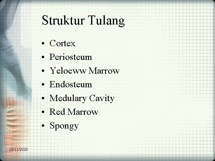 Struktur Tulang • • 10/11/2020 Cortex Periosteum Yeloeww Marrow Endosteum Medulary Cavity Red Marrow