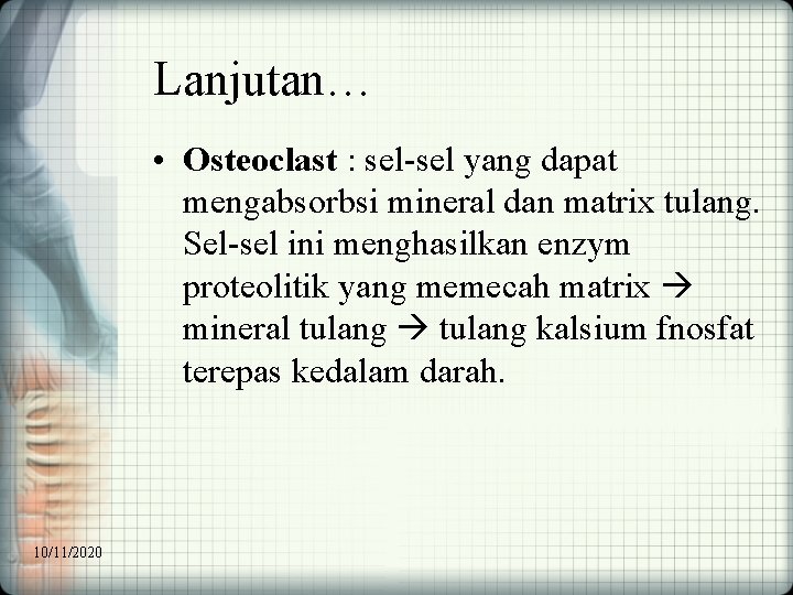 Lanjutan… • Osteoclast : sel-sel yang dapat mengabsorbsi mineral dan matrix tulang. Sel-sel ini