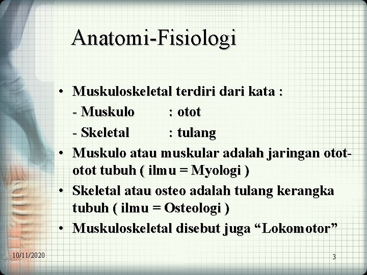 Anatomi-Fisiologi • Muskuloskeletal terdiri dari kata : - Muskulo : otot - Skeletal :
