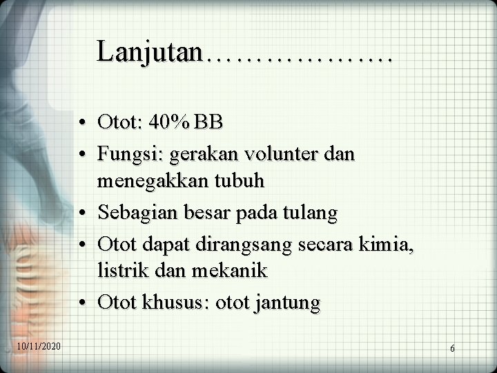 Lanjutan………………. • Otot: 40% BB • Fungsi: gerakan volunter dan menegakkan tubuh • Sebagian