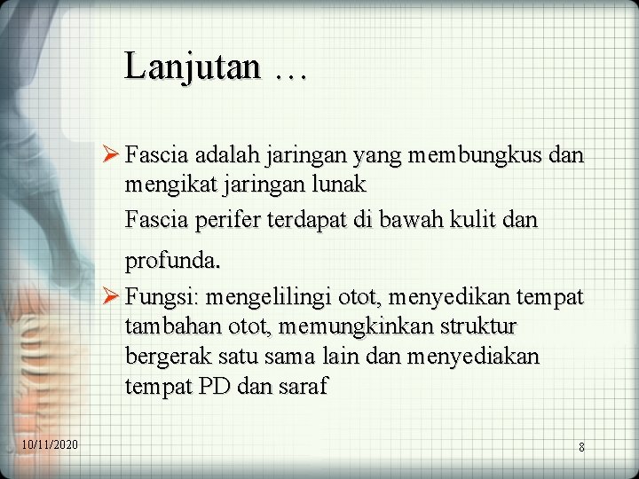 Lanjutan … Ø Fascia adalah jaringan yang membungkus dan mengikat jaringan lunak Fascia perifer