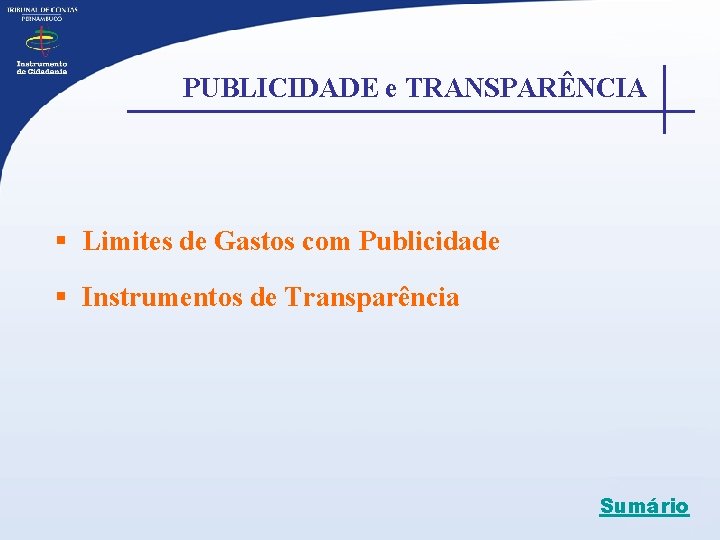 PUBLICIDADE e TRANSPARÊNCIA § Limites de Gastos com Publicidade § Instrumentos de Transparência Sumário