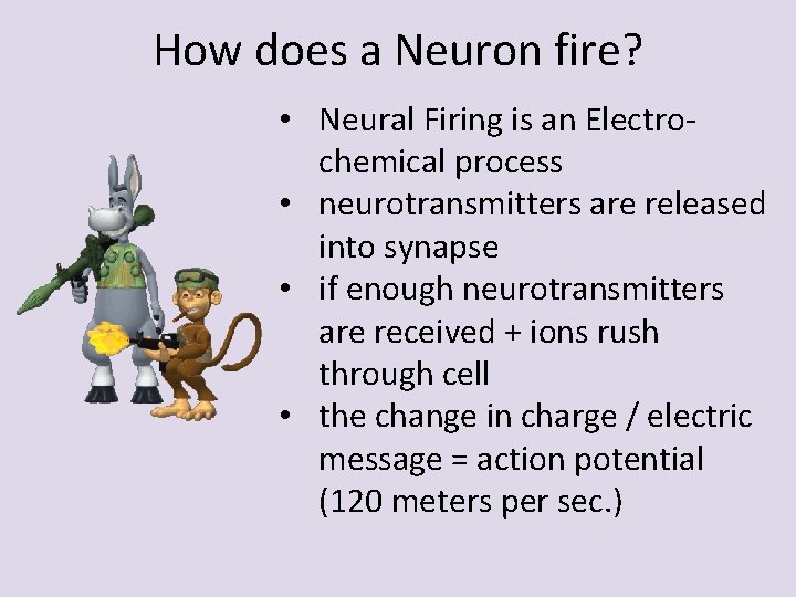 How does a Neuron fire? • Neural Firing is an Electrochemical process • neurotransmitters