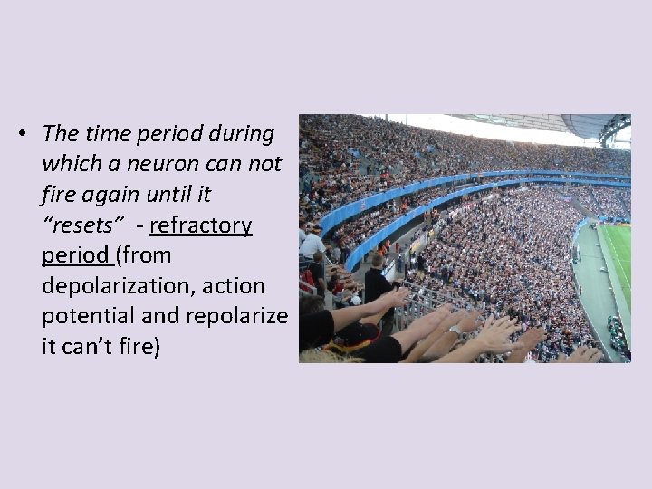  • The time period during which a neuron can not fire again until