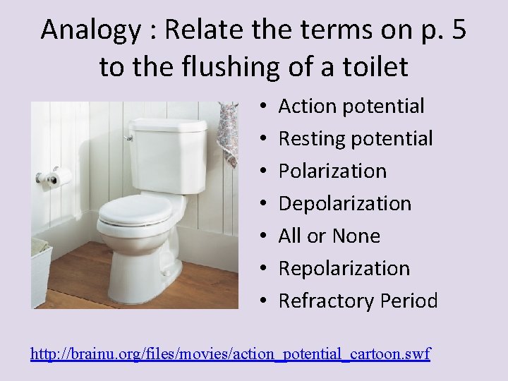 Analogy : Relate the terms on p. 5 to the flushing of a toilet