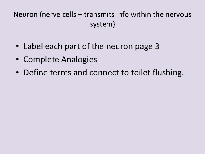 Neuron (nerve cells – transmits info within the nervous system) • Label each part