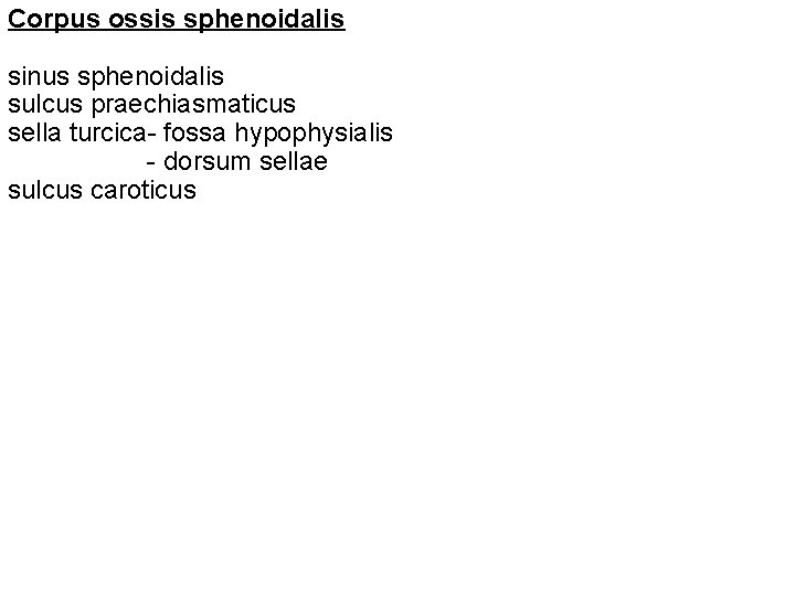 Corpus ossis sphenoidalis sinus sphenoidalis sulcus praechiasmaticus sella turcica- fossa hypophysialis - dorsum sellae