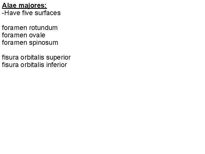 Alae majores: -Have five surfaces foramen rotundum foramen ovale foramen spinosum fisura orbitalis superior