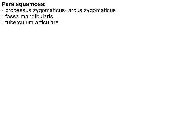 Pars squamosa: - processus zygomaticus- arcus zygomaticus - fossa mandibularis - tuberculum articulare 