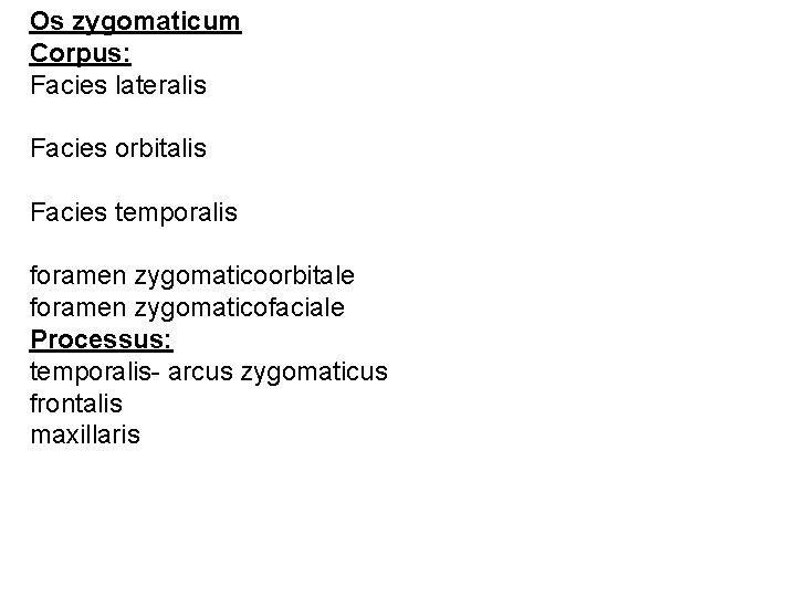 Os zygomaticum Corpus: Facies lateralis Facies orbitalis Facies temporalis foramen zygomaticoorbitale foramen zygomaticofaciale Processus: