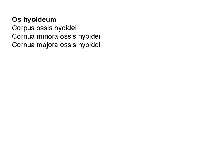 Os hyoideum Corpus ossis hyoidei Cornua minora ossis hyoidei Cornua majora ossis hyoidei 
