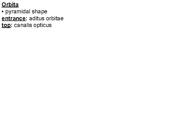 Orbita • pyramidal shape entrance: aditus orbitae top: canalis opticus 