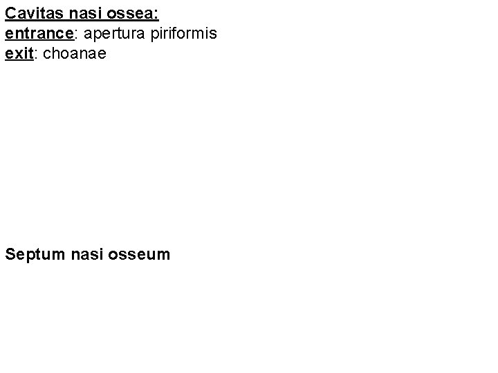 Cavitas nasi ossea: entrance: apertura piriformis exit: choanae Septum nasi osseum 