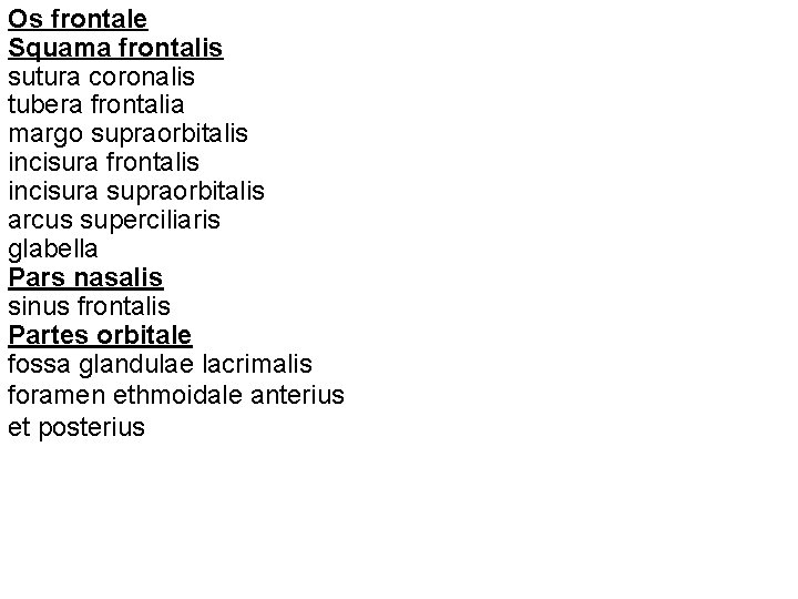 Os frontale Squama frontalis sutura coronalis tubera frontalia margo supraorbitalis incisura frontalis incisura supraorbitalis