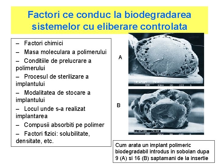 Factori ce conduc la biodegradarea sistemelor cu eliberare controlata – Factori chimici – Masa