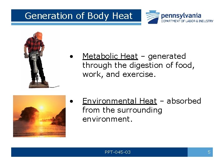 Generation of Body Heat • Metabolic Heat – generated through the digestion of food,
