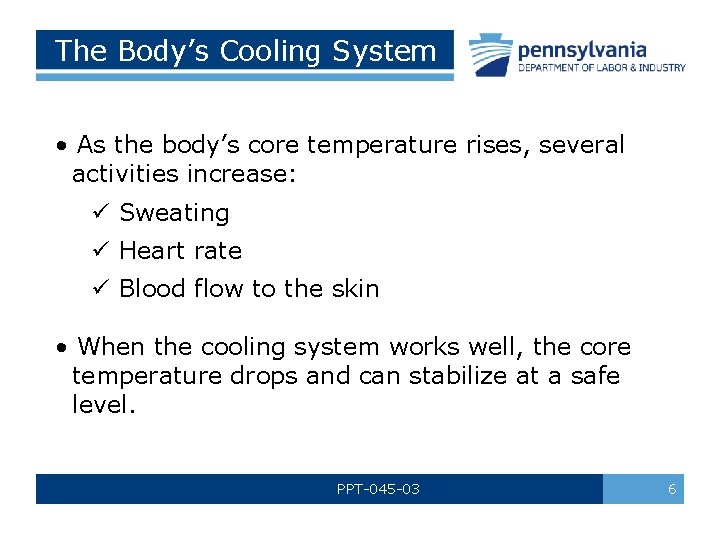 The Body’s Cooling System • As the body’s core temperature rises, several activities increase: