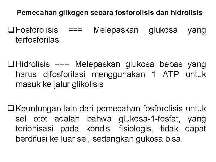 Pemecahan glikogen secara fosforolisis dan hidrolisis q Fosforolisis === terfosforilasi Melepaskan glukosa yang q