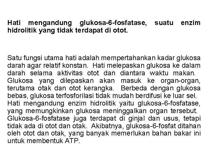 Hati mengandung glukosa-6 -fosfatase, hidrolitik yang tidak terdapat di otot. suatu enzim Satu fungsi