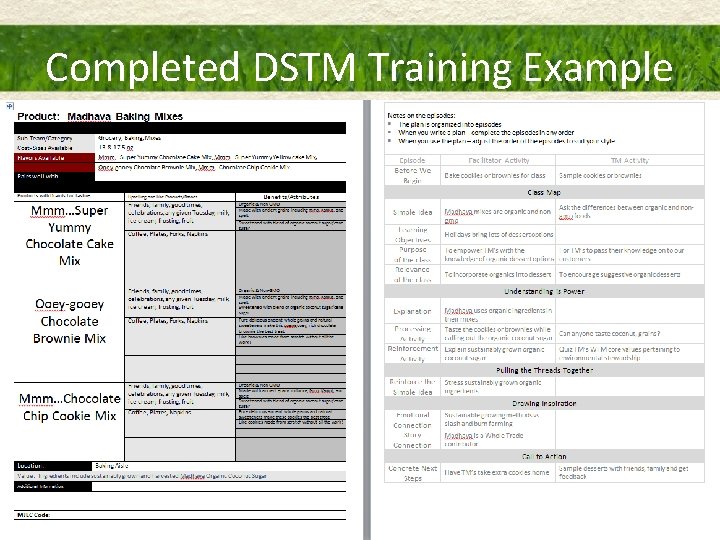 Completed DSTM Training Example 